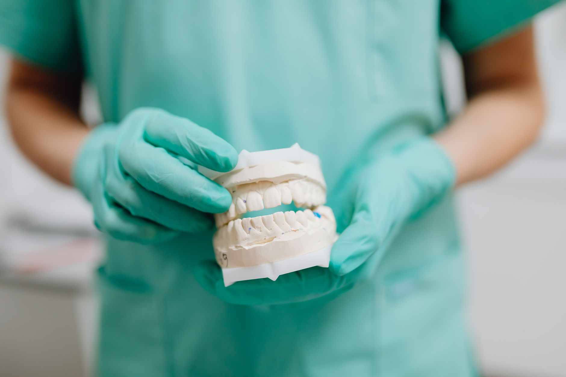 Gloved hands holding a plaster cast of upper and lower teeth